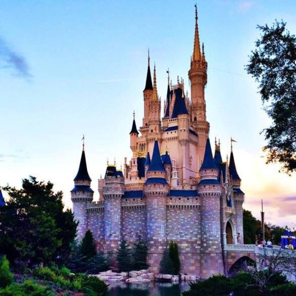 Meet your Posher, Laurie